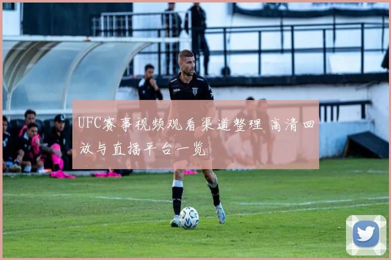 UFC赛事视频观看渠道整理 高清回放与直播平台一览