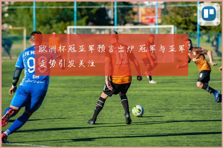 欧洲杯冠亚军预言出炉 冠军与亚军走势引发关注